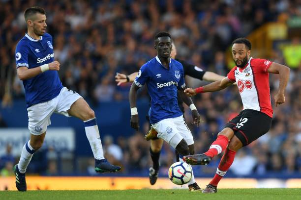 涯初期就展 涯初期就展